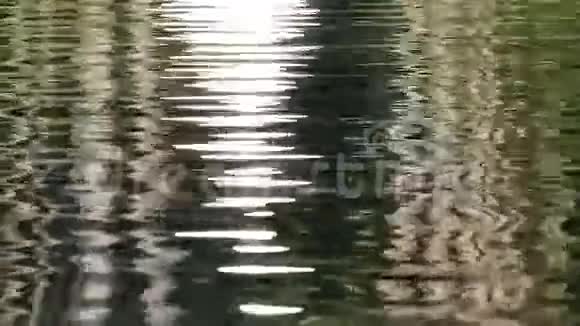 水背景反射亮光4k视频的预览图