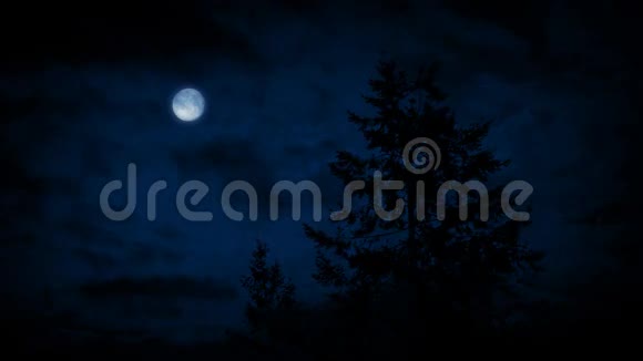 风夜的月亮下的树视频的预览图
