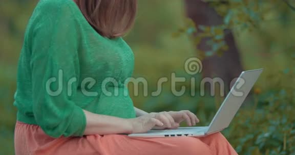孕妇在户外使用笔记本电脑视频的预览图