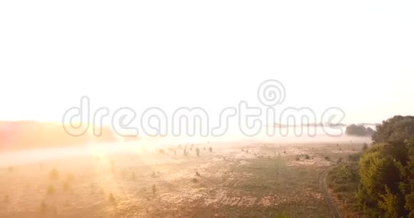 黎明时空中俯瞰覆盖着雾的草地乌克兰视频的预览图