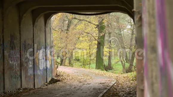 在Grunge公园隧道的机架焦点视频的预览图