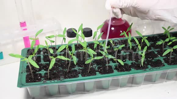 与实验室的植物一起工作视频的预览图