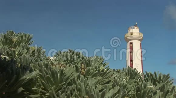 博内尔岛的灯塔视频的预览图