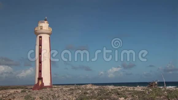 博内尔岛的灯塔视频的预览图