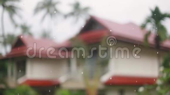 热带雨滴落在泰国苏梅岛的棕榈叶上从雨中改变美丽的房子视频的预览图