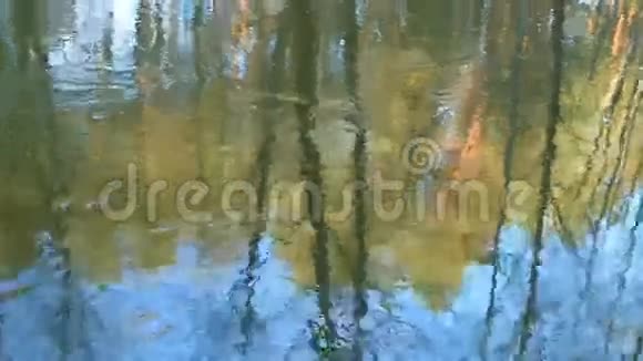 秋天的风景阴郁迷蒙的林湖倒影视频的预览图