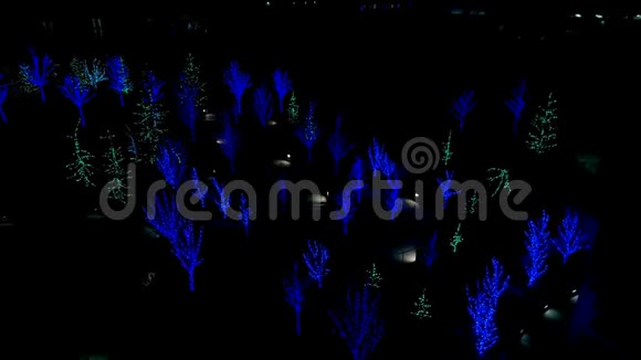 夜间公园树木上的季节性假日灯光视频的预览图