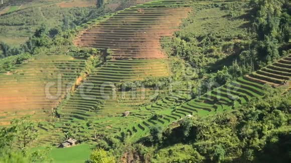 风景优美的萨帕越南视频的预览图