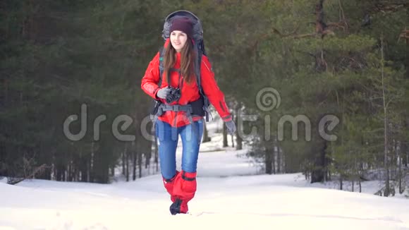 迷人的女徒步旅行者在冬天的森林里散步视频的预览图