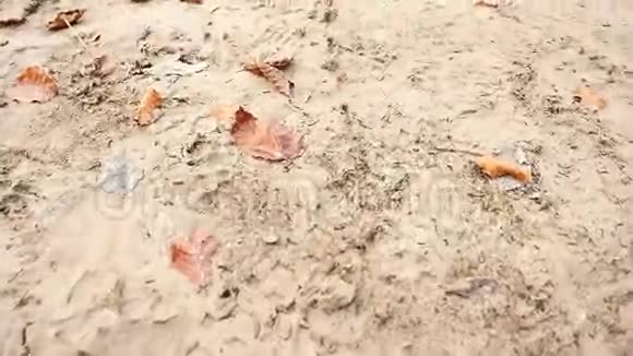 在地面的湿泥中遵循画线湿泥或泥树叶和脏乱视频的预览图