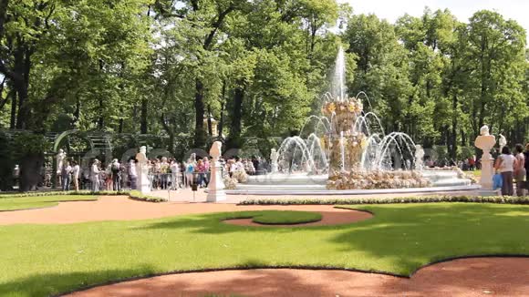夏日花园的喷泉视频的预览图