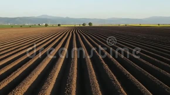 播种后春季的马铃薯田农田的犁沟视频的预览图