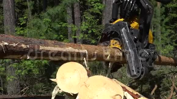 机械手臂在森林中砍断一棵刚砍下的树干视频的预览图