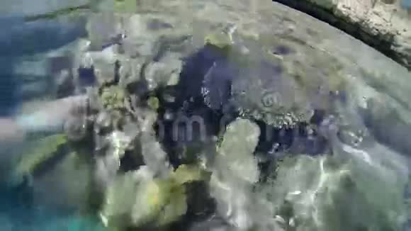 从海平面和水下看视频的预览图