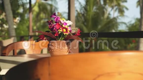 阳台上有花盆的桌子热带树木背景模糊阳光明媚的夏日巴厘岛视频的预览图