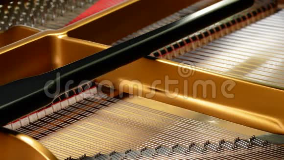 音乐会中钢琴乐器的内部视频的预览图