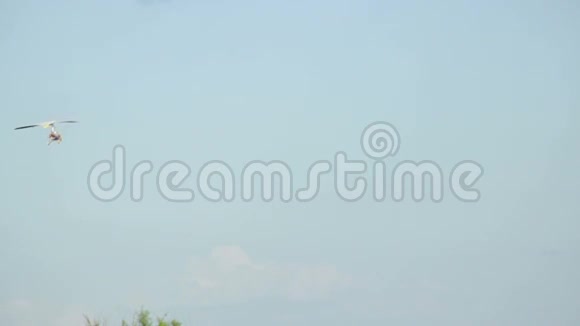 悬挂滑翔机在陆地上方飞行视频的预览图