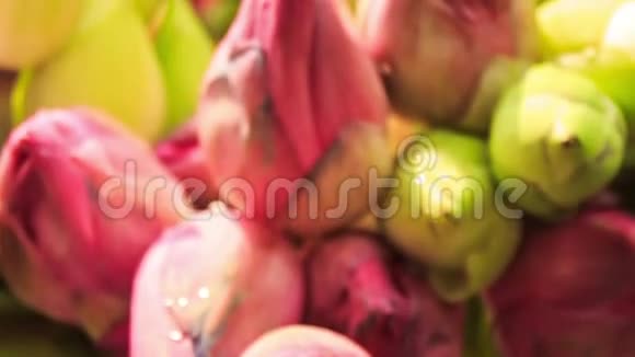 加兰花的白色粉红露天花视频的预览图