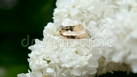 两枚金色结婚戒指视频的预览图