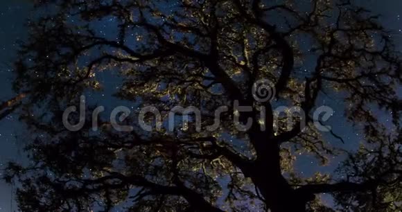 街道上空的夜空视频的预览图
