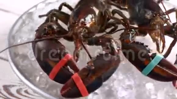 带绑爪的生龙虾视频的预览图