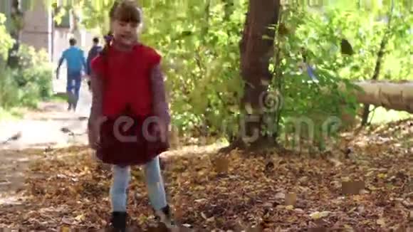穿红色背心的小女孩扔树叶视频的预览图