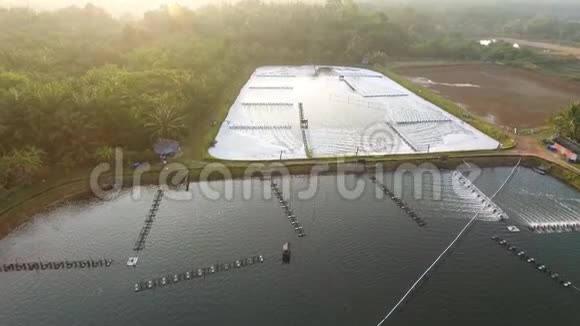 空中虾和虾农场游泳池泰国范恩加高清慢速运动视频的预览图
