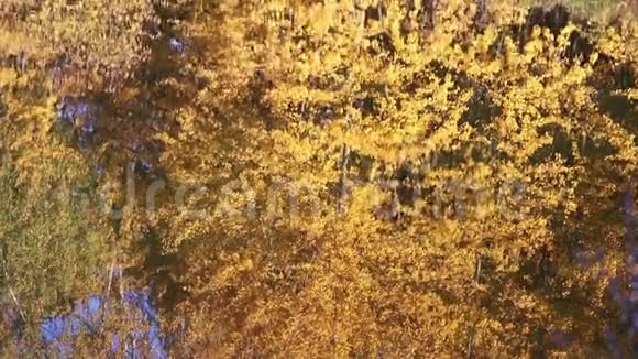 秋天的森林池塘有倒影视频的预览图