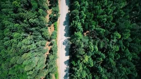 从森林中俯瞰公路垂直射击视频的预览图