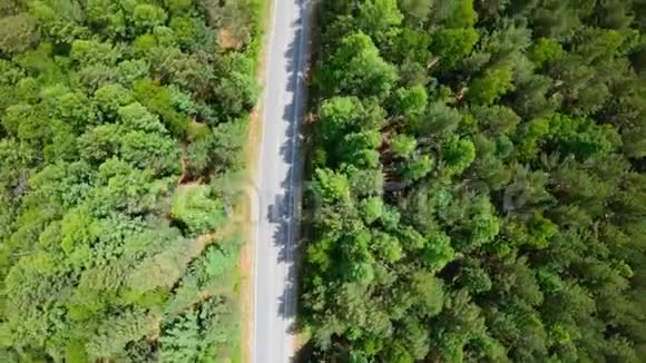 从森林中俯瞰公路垂直射击视频的预览图