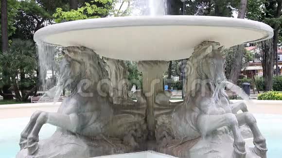 里米尼四匹马的喷泉视频的预览图