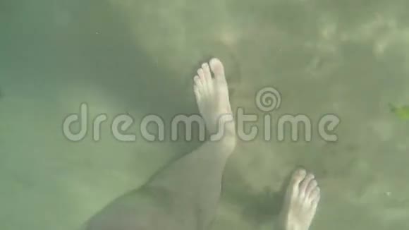 人的脚在海下行走视频的预览图