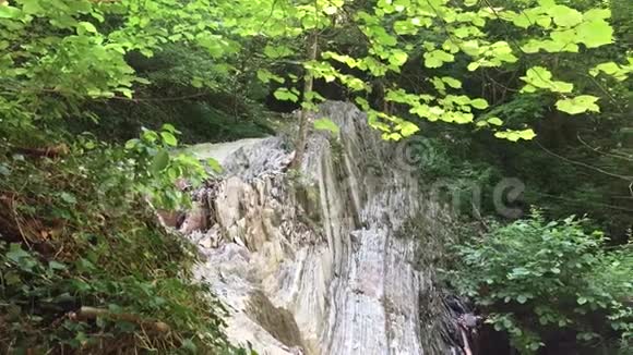 山崖岩树自然美景慢动作视频视频的预览图