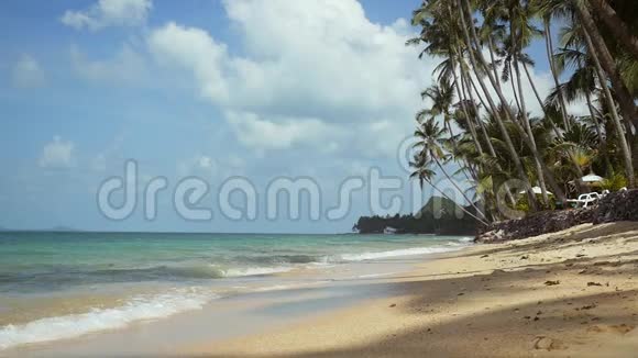 阳光灿烂的海滨沙滩和棕榈树蓝天热带岛屿度假田园背景视频的预览图