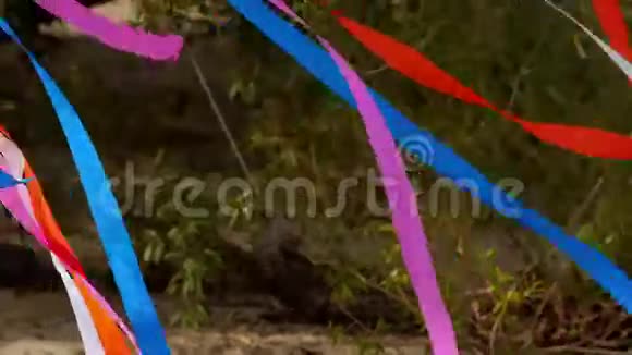 彩带系在树上随风摇曳视频的预览图