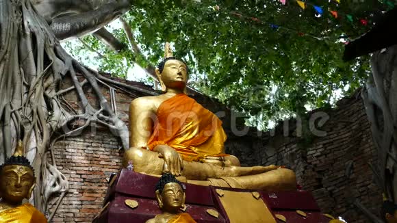 佛教教堂中的佛像视频的预览图