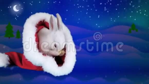 可爱的兔子戴着圣诞帽洗脸冬夜背景视频的预览图