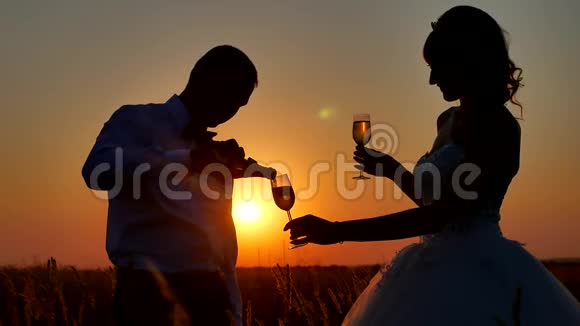一对夫妇欣赏香槟酒的剪影浪漫的情侣在大自然阳光下剪影日落视频的预览图