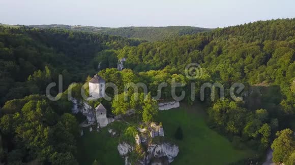 波兰Ojcow山上美丽的城堡视频的预览图