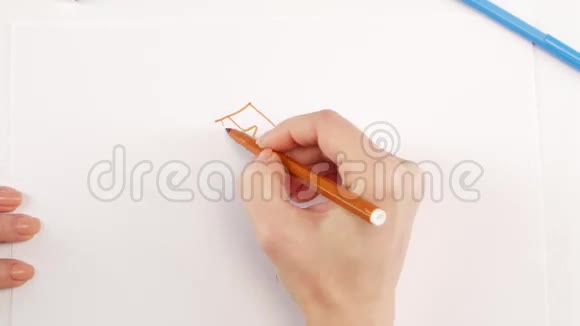 女人在白纸上用棕色毛毡尖笔画夹克时间流逝视频的预览图
