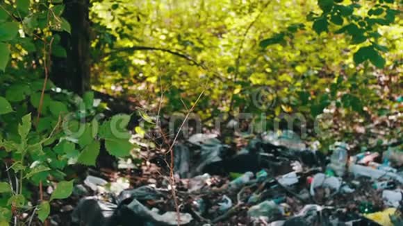 塑料和垃圾对环境的污染垃圾污染增加垃圾露天倾倒视频的预览图