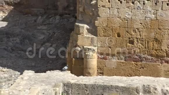 古罗马废墟和结构视频的预览图