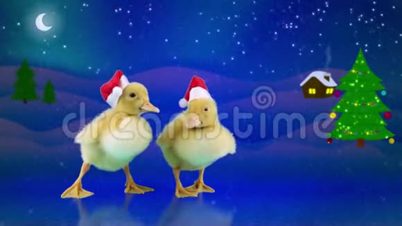 可爱有趣的圣诞老人帽子里的新生小鸭子在冰上滑动视频的预览图