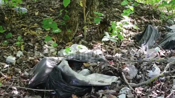 塑料和垃圾对环境的污染垃圾污染增加垃圾露天倾倒视频的预览图