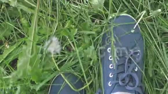 女足穿着运动鞋在绿草上缓慢地行走1920x1080视频的预览图