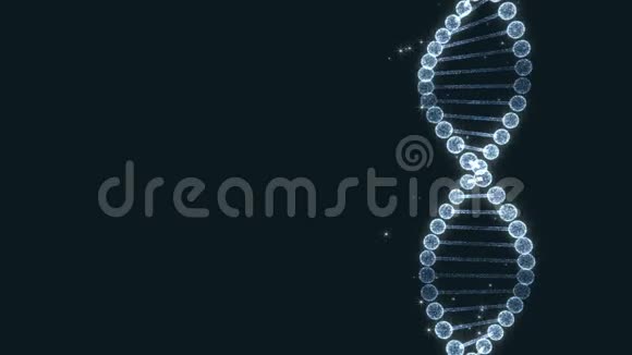 闪烁DNA链与光学视频的预览图