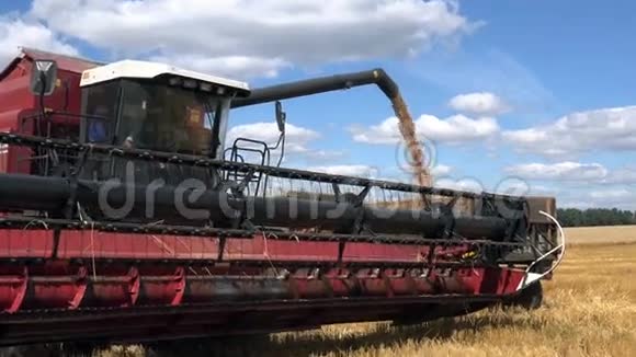 夏天的收获把小麦从联合收割机卸到卡车上视频的预览图