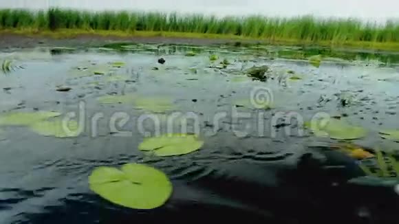 靠近橡皮船桨划桨在湖上游泳电影院镜头视频的预览图