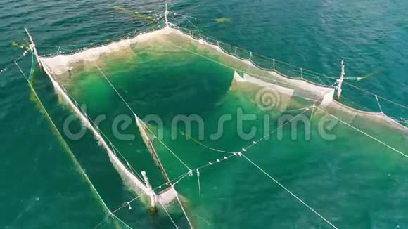 在保加利亚瓦尔纳黑海海岸附近的海水中捕鱼网空中无人机视野视频的预览图