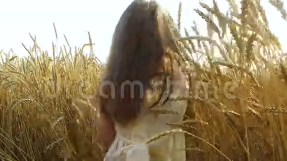 小女孩偷偷地穿过一片浓密而高的小麦小麦生得很好小麦熟了很快它就会开始收割了视频的预览图